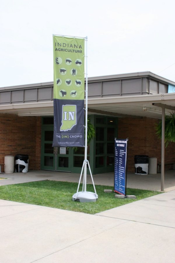 Giant Feather Flags - Image 2