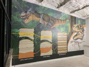 Museum Wall Mural Printing and Installation